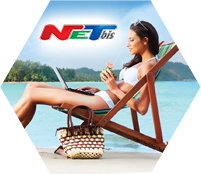 NETbis - Wakacje od abonamentu